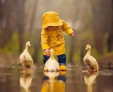 AnthonyDykeCWC's tweet image. #Commercial/residential #Conveyancing? Get your property ducks in a row @cwcsolicitors @LizSealCWC @chloe_cwc @AndrewLuggerCWC