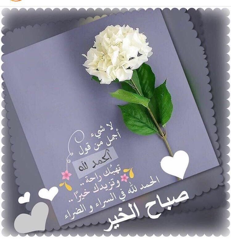 EngTRmohammad's tweet photo. Good morning my followers https://t.co/SapOXX6yAF