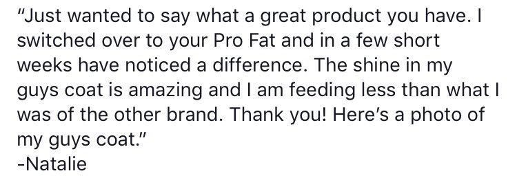 HoffmansHorse's tweet photo. A few words from a happy customer! #Hoffmans #Equinenutrition #healthyhorses #ProFat https://t.co/7aDGoqRiSo