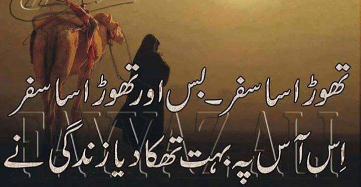 sadaf2685's tweet photo. https://t.co/InRjNy2GtB