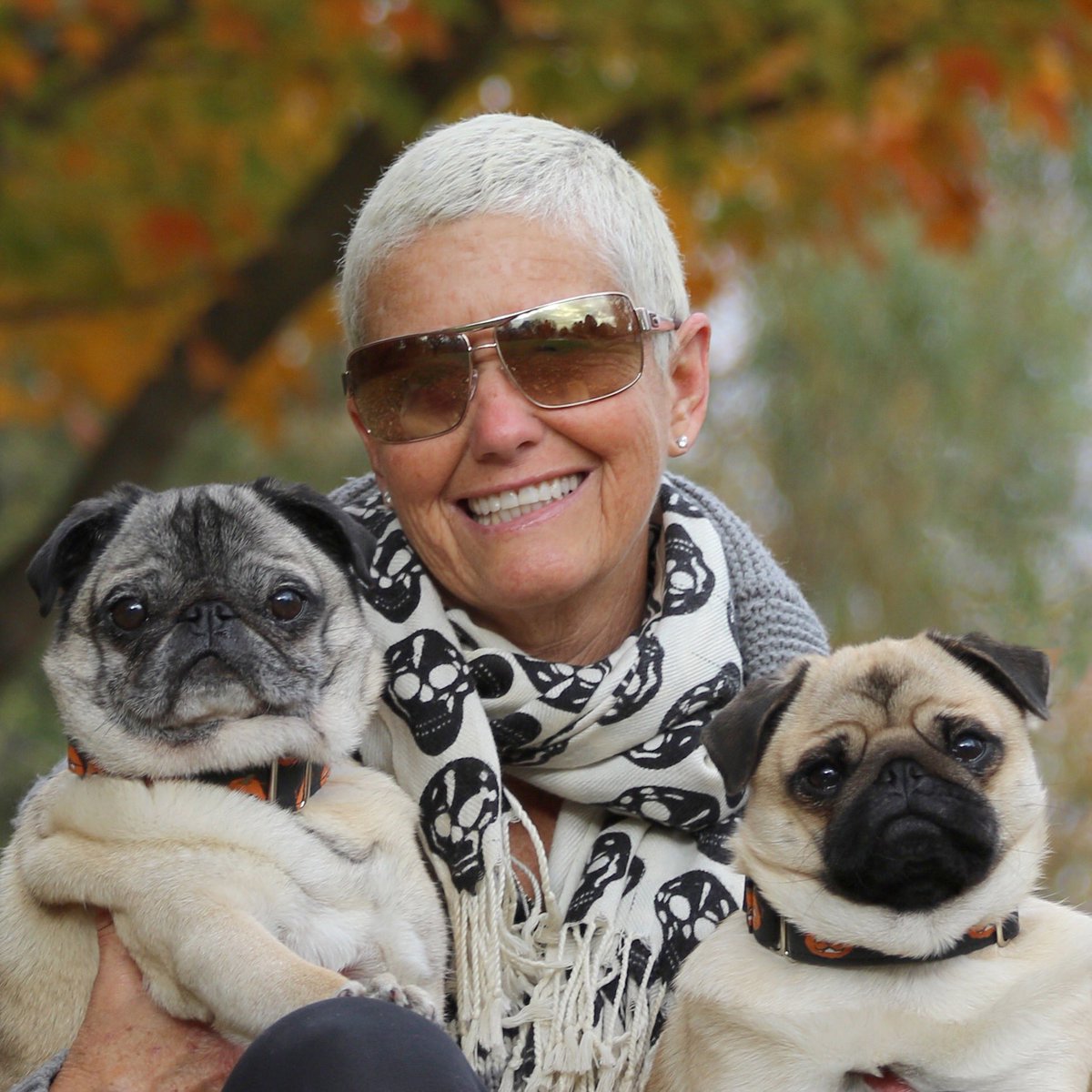 Great family day! ...Dad was behind the camera ❤️

#pug #family #outdoorliving #autumn #londonontario #ldnont #gibbonspark