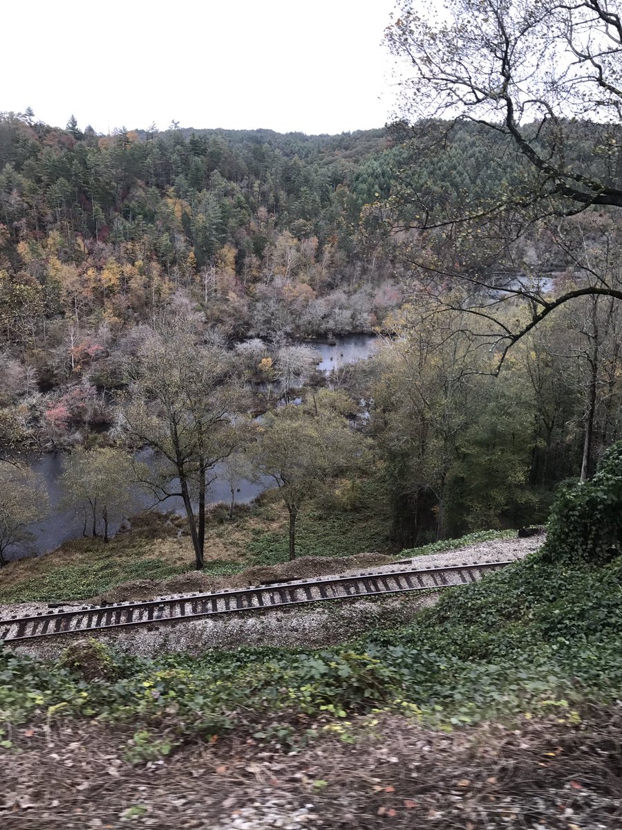 tammy_tnvols's tweet photo. Beautiful ride on the train in Tn. #hiwasseeriver #tnfun #hiwasseeloop https://t.co/CQpIEm6obf