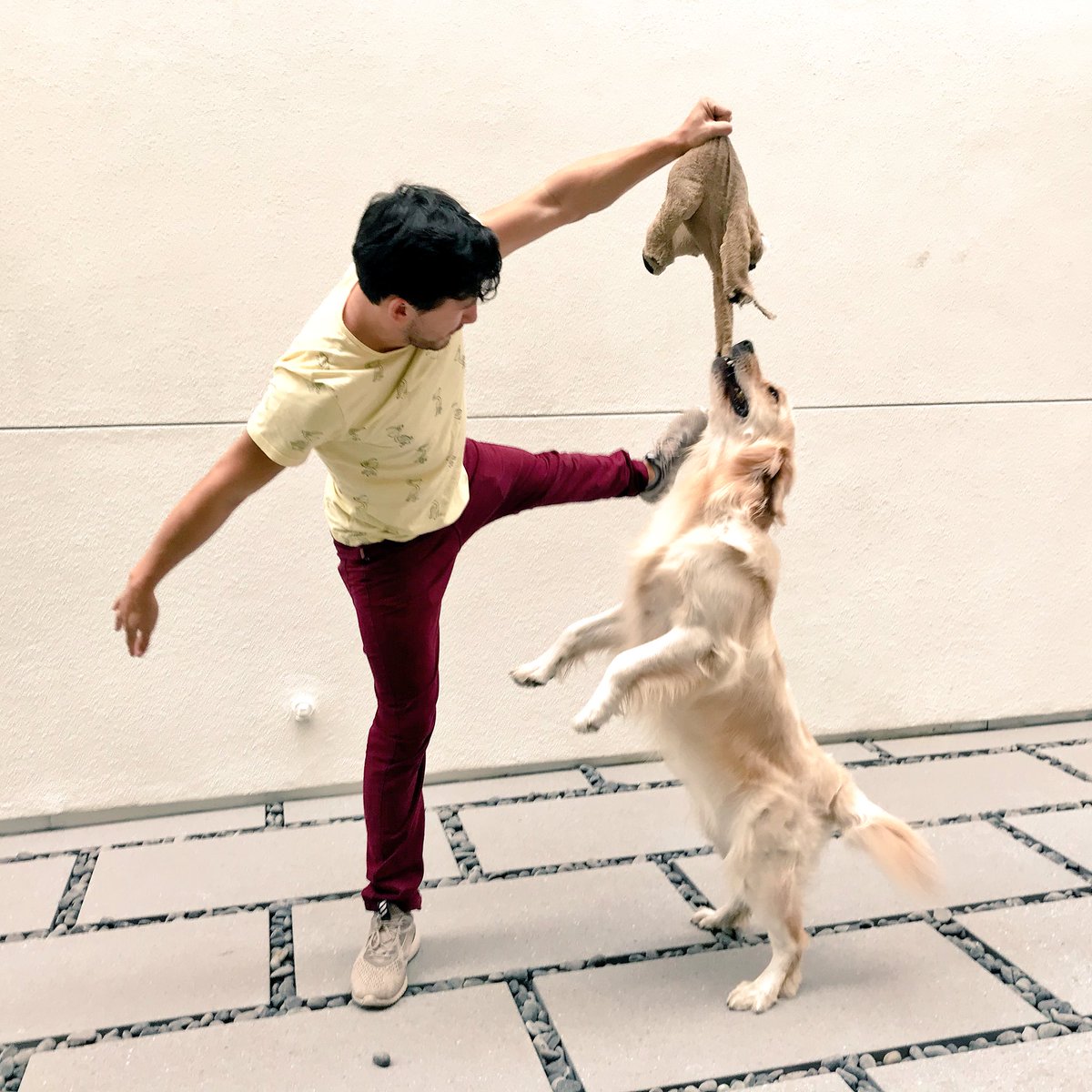 markiplier's tweet image. She’s my favorite ever forever