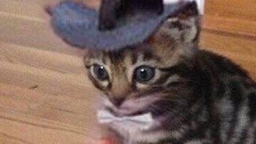 한국에서 할로윈을 즐길려는 나