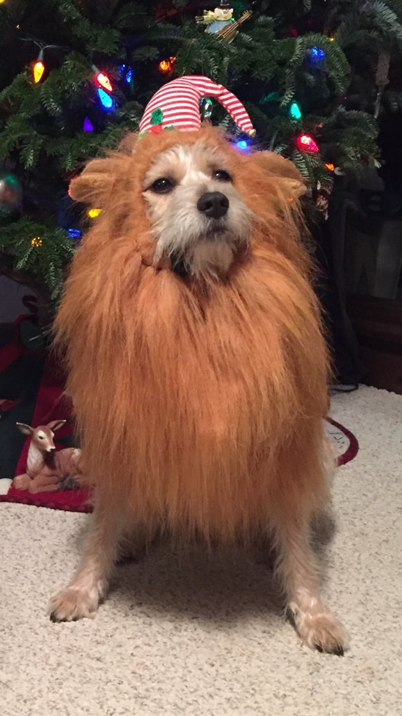 This was round 1 Incase anyone missed it