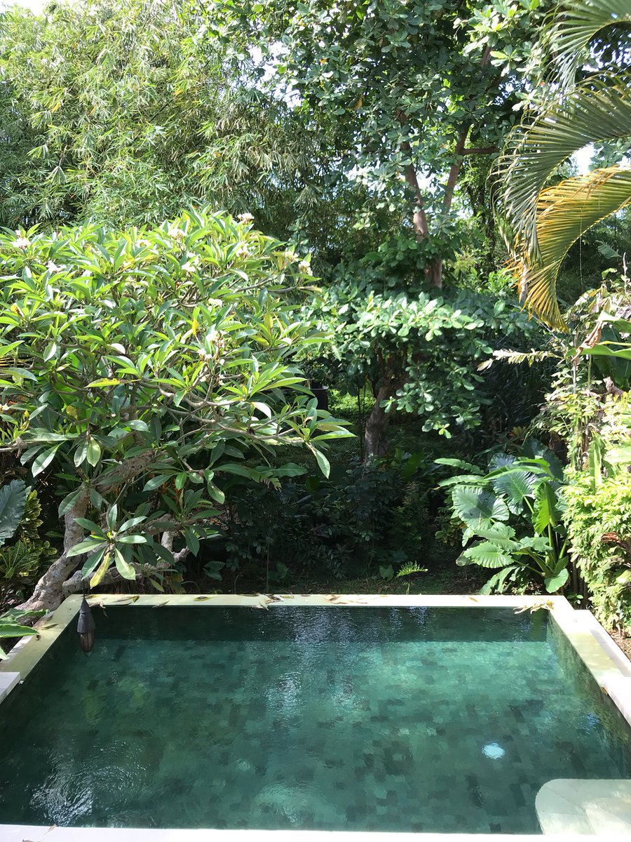 Morning view from <a href="/PlataranResorts/">Plataran Indonesia</a> #canggu from the bedroom in our private villa. Have a great week everyone! #travel #plataran #hotel