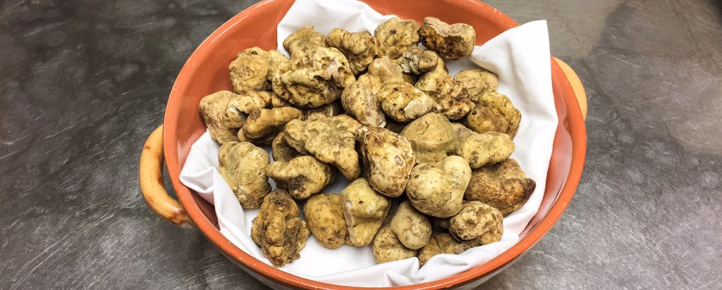 J_Urbieta's tweet photo. Truffle season started this weekend @BartolottaRisto with @UrbaniTruffles tasting menu @bartolottas @mkediner @LoFredrich @ann_christenson https://t.co/VaWKMOVW5D