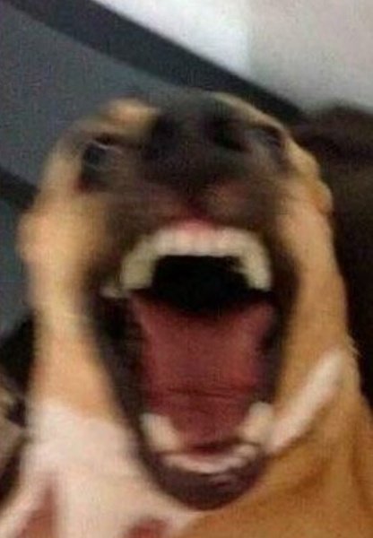 lautarovidall's tweet photo. Queda una semana para levantar todas las materias https://t.co/NunFjFVUcM