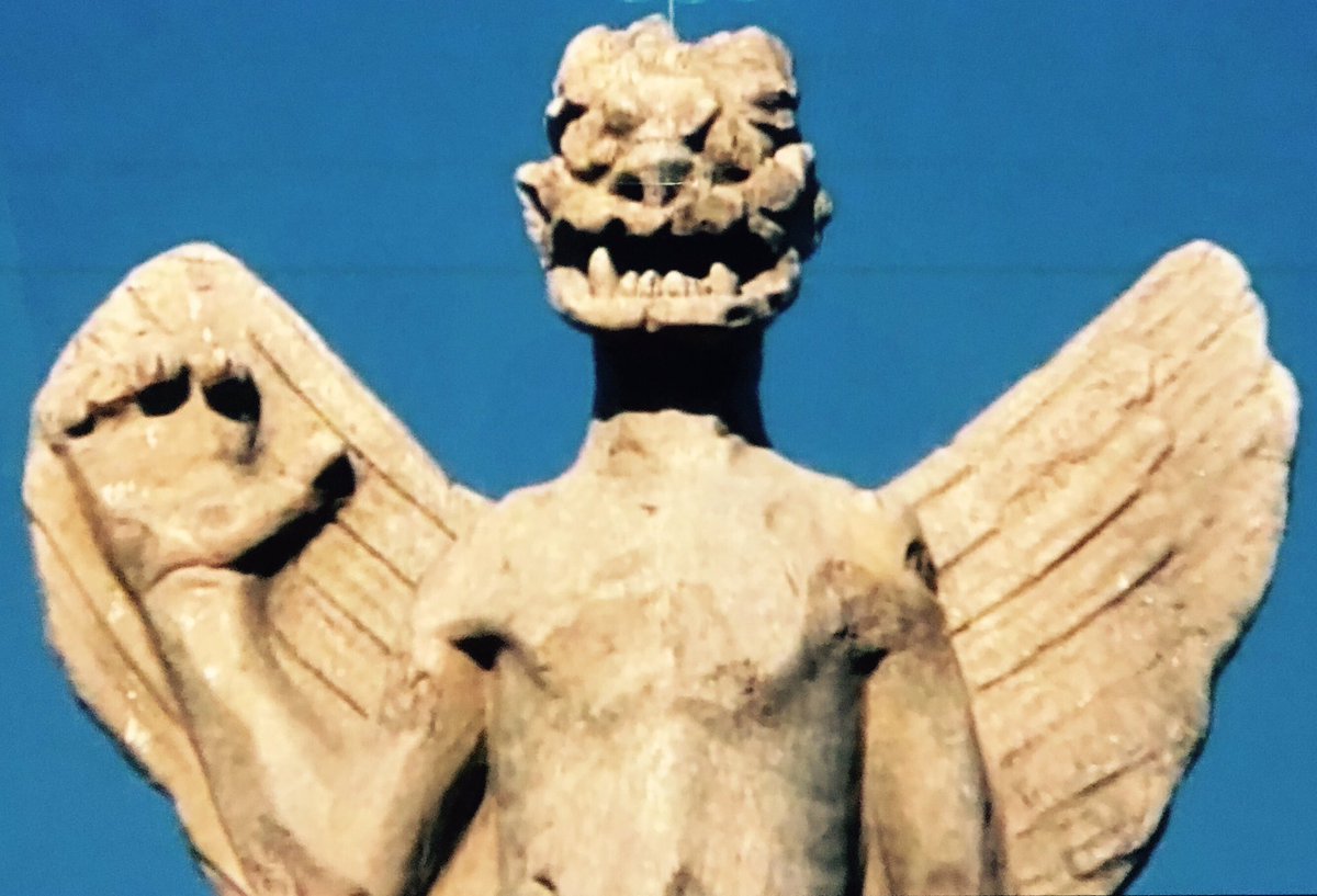 ヘリコプタム tweet media