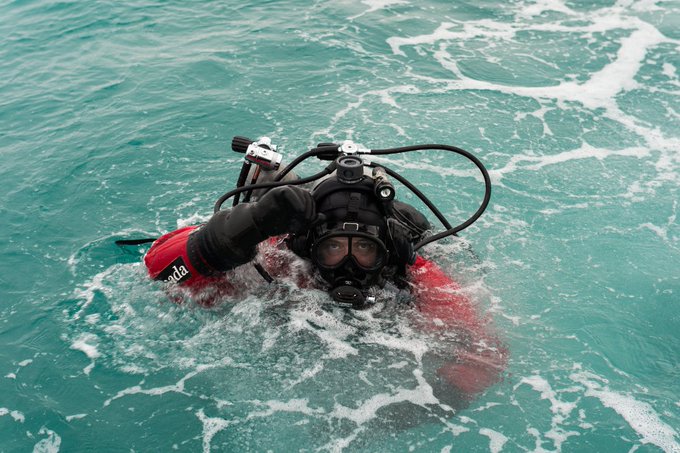 View image on Twitter