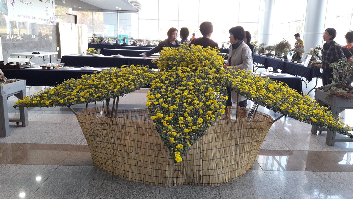 성남시청 누리홀에서 오늘부터 이틀간 2017전통생활기술전시회를 하고있습니다. 시간 내셔서 구경하고 가세요~