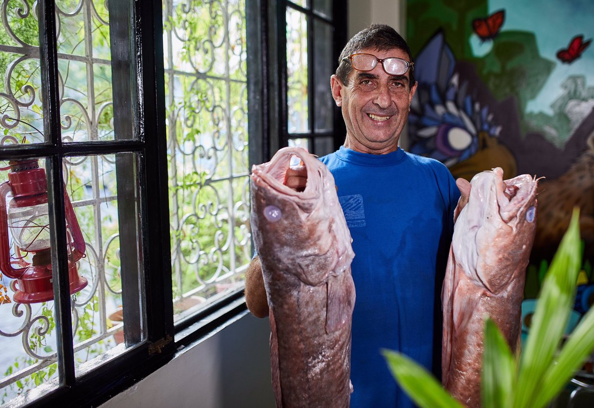 nuestros microproductores y proveedores son la parte más importante de nuestro proyecto. Conocemos el nombre y apellido de cada uno de ellos