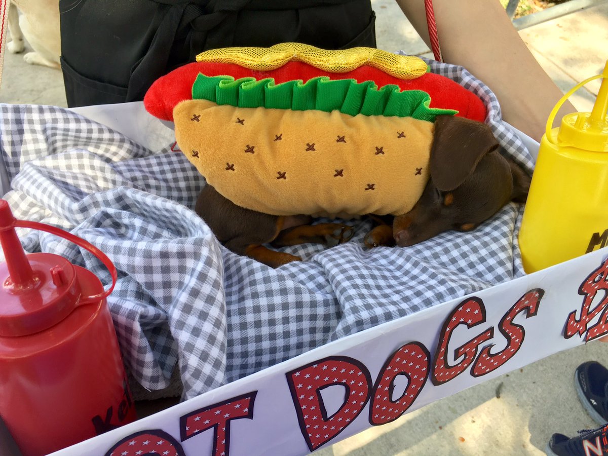 Rileymj99__'s tweet photo. Winnie the Weenie takes on Halloween https://t.co/NkMOzj3EmO