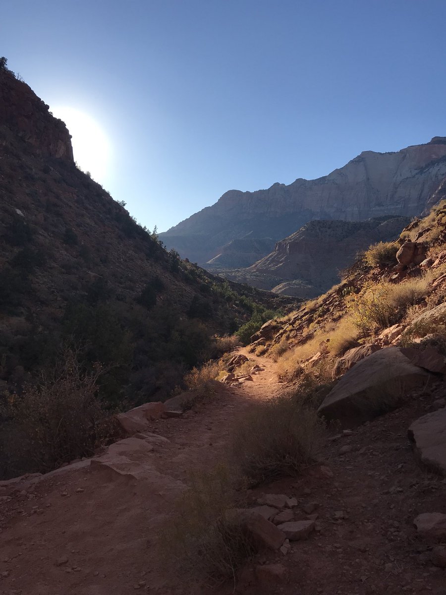 NECowen's tweet photo. 9.75 miles. 6.5 trails #lovemyhikingboots #stillafraidofhight #zionnationalpark https://t.co/u2p1kTZMw6