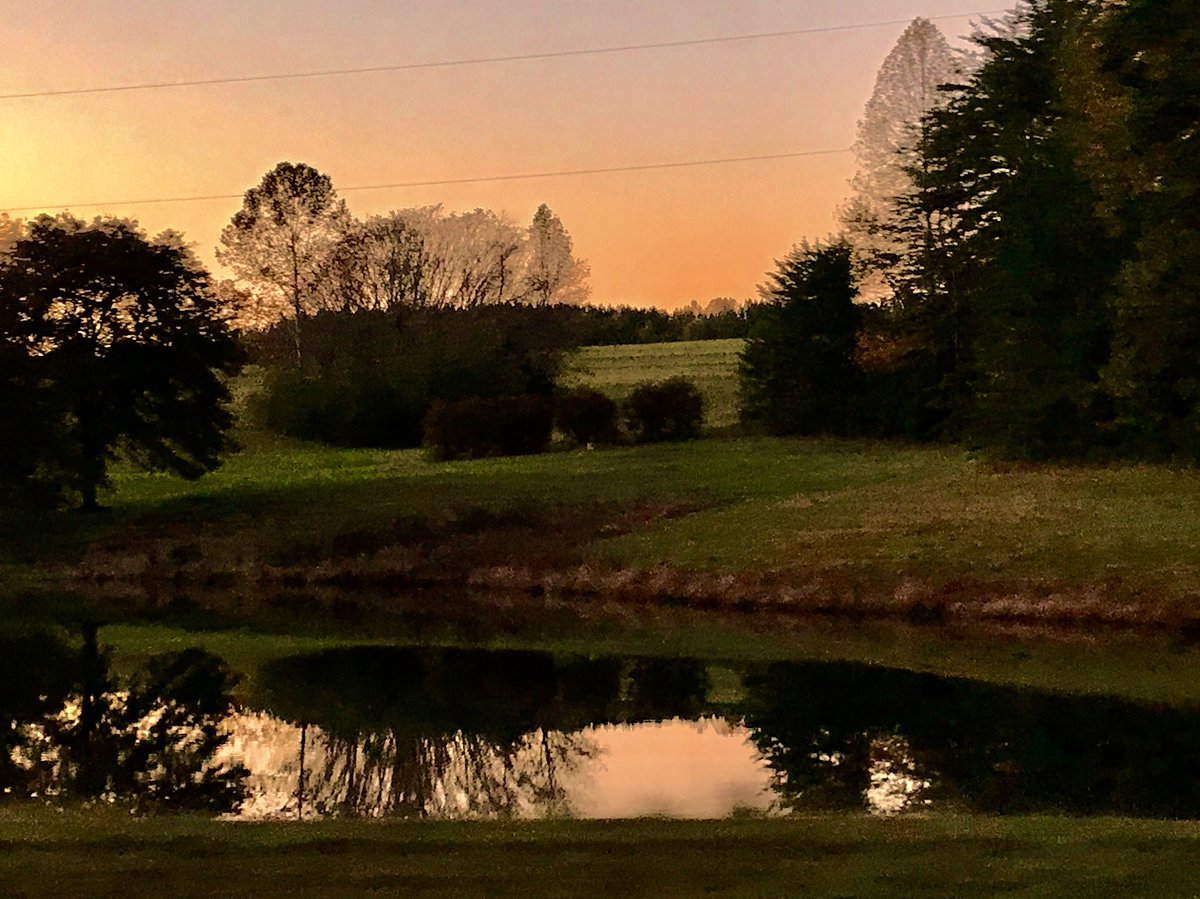 The Picture Poet On Twitter Goodnight Twitter Friends Sweet