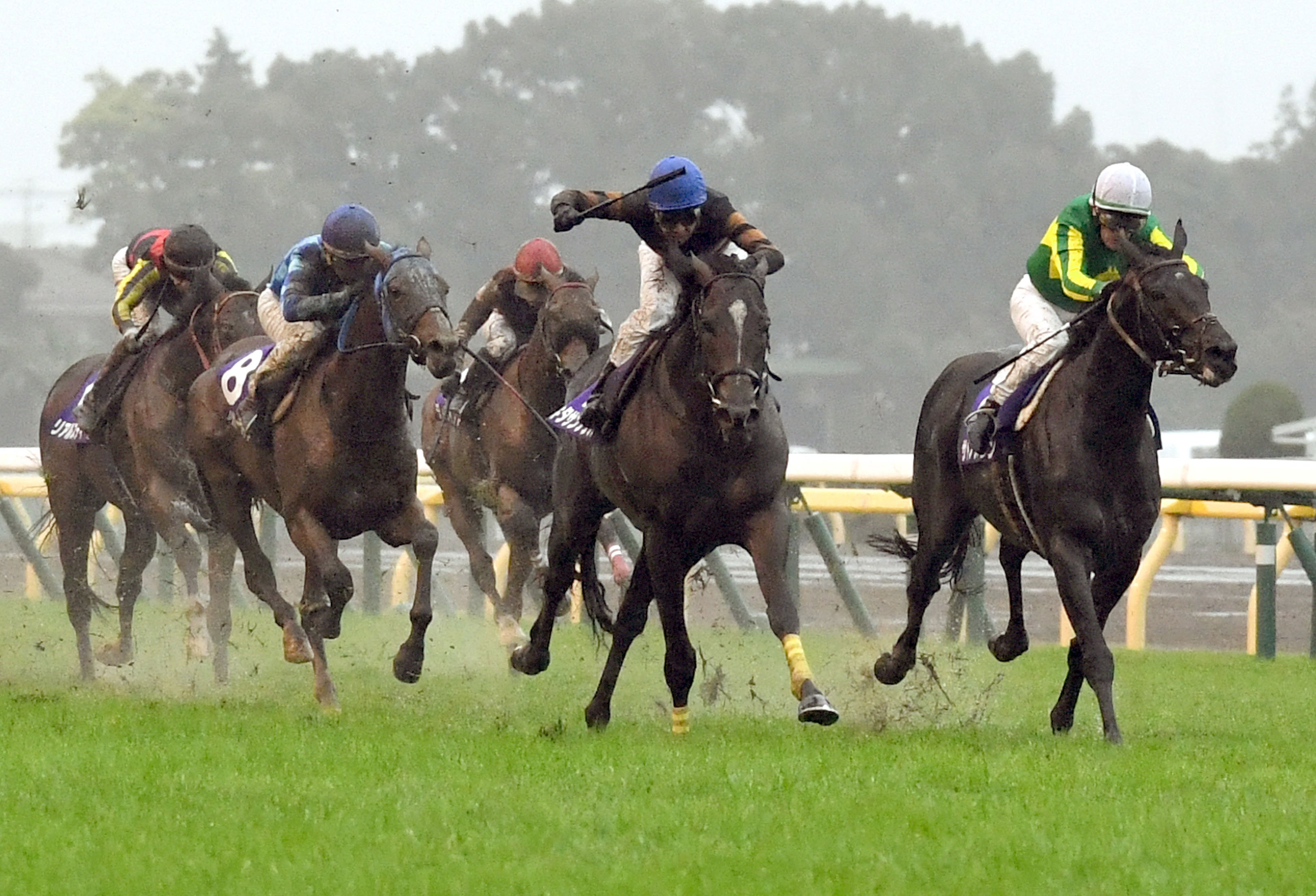 日刊ゲンダイ 競馬 on X: 日刊ゲンダイ 競馬 on X:
