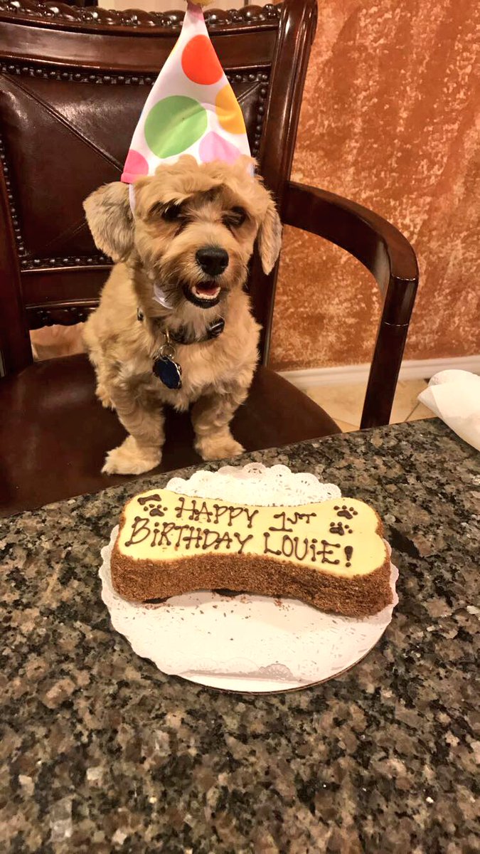 YooDaddyMiriam's tweet image. Birthday Boy 🎂💘 #thebig1