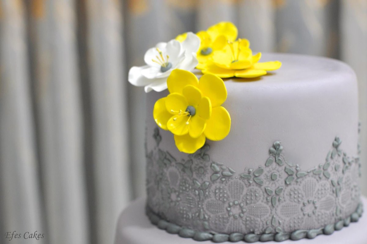EfesCakes's tweet photo. An unusual &amp; yet a beautiful color match. 💛
#ediblelove #archives https://t.co/dQK0HP7N45