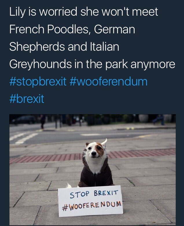 paws_for_effect's tweet photo. @NickyAACampbell Maybe #MaxwellsBrexit would like to join our call for a #Wooferendum on #Brexit https://t.co/zwsgA1erEj