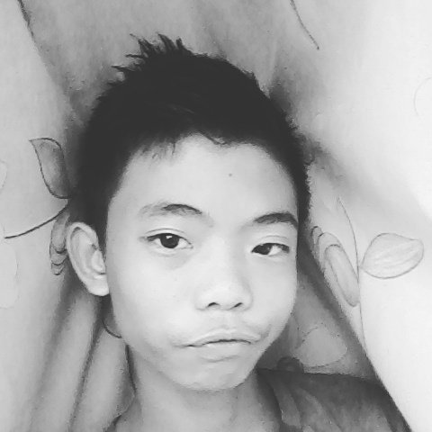 SAMMY SAMSON (@JohnLau39245393) / Posts / X