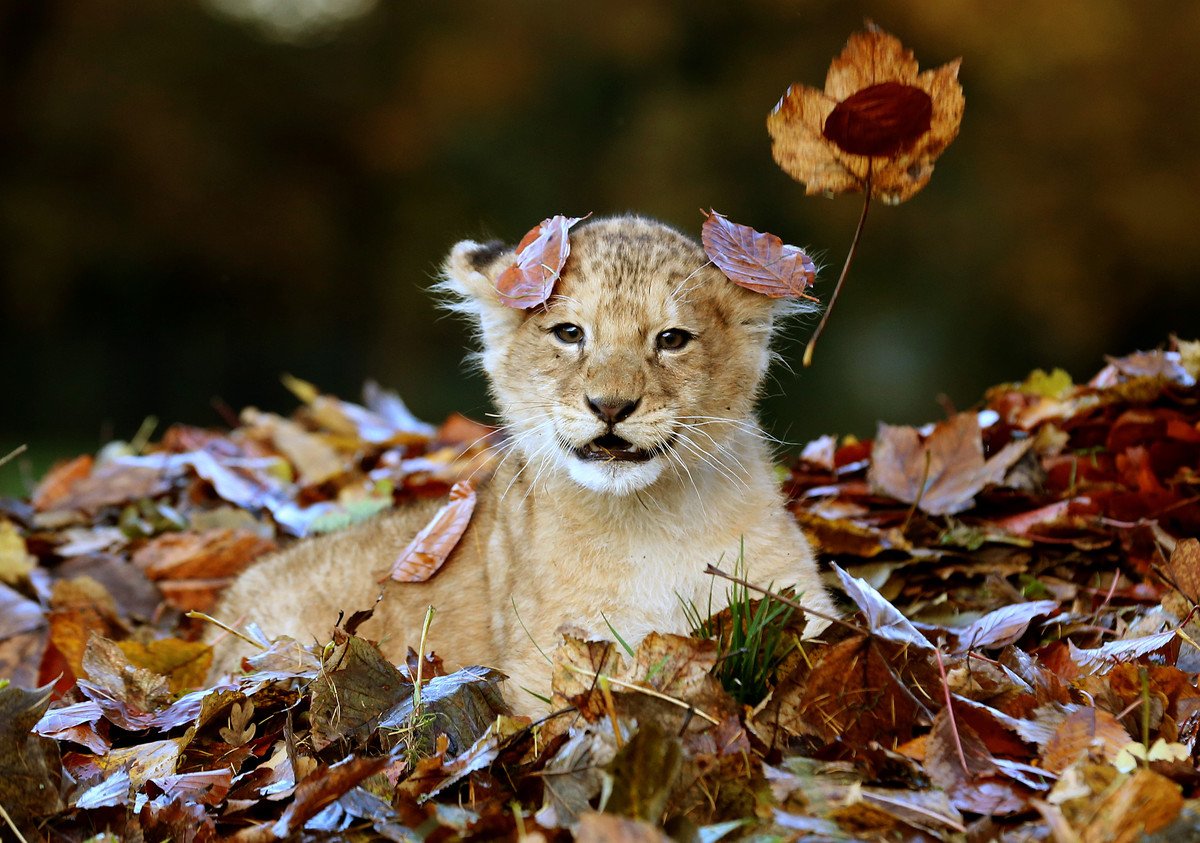ramblingsloa's tweet photo. Wishing you all,
Wherever you are on Planet Earth,
A wonderful new week. https://t.co/yqt3EfXT18