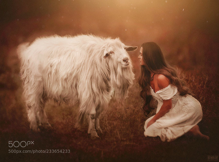 fotowow2's tweet image. Popular on 500px : .... by 89205537525