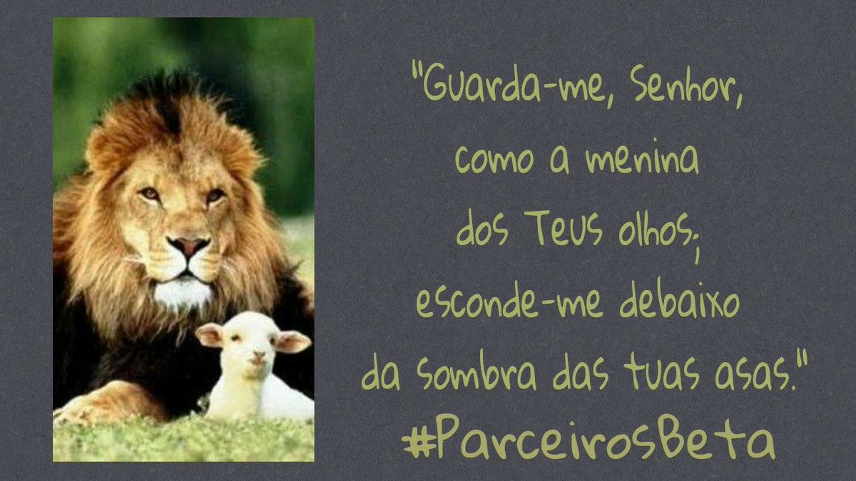 #PARCEIROSBETA
<a href="/parceirosbeta/">#PARCEIROSBETA OFICI</a>
Uma excelente semana a todos😘😘😘