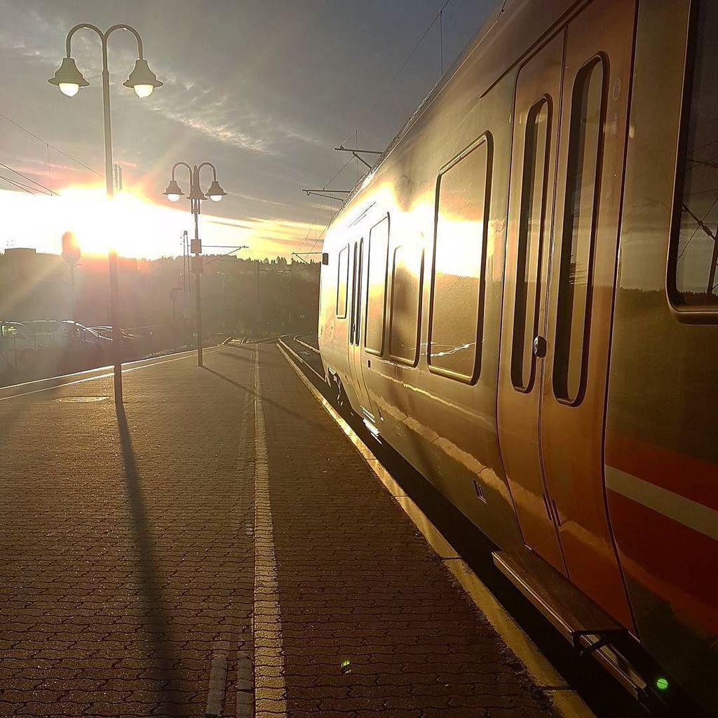Delia_Tee's tweet photo. beautiful morning light <3 https://t.co/3VWrML5xn8 https://t.co/T7fKj5pxlW
