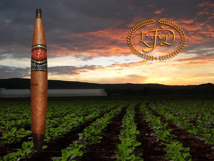 ElClubDelHumo tweet picture