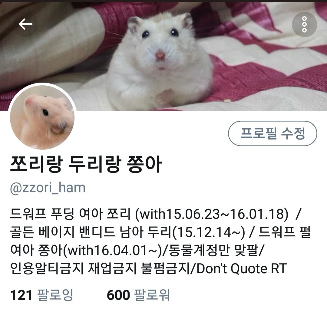 zzori_ham's tweet photo. 600팔로워 감사합니다 현생에 치여서 활동도 적은데 꾸준히 늘고있었네요😂 https://t.co/VkMPRhCroG