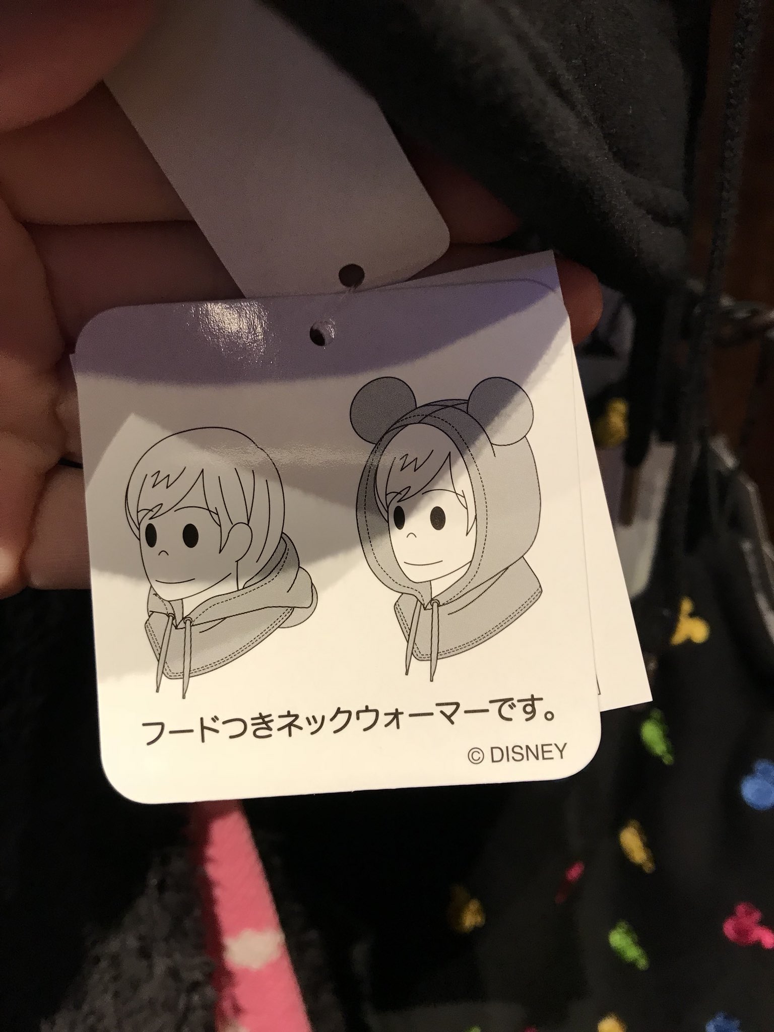 袖 三代目の登坂広臣がディズニーシーに行った時につけてたのは ミッキー耳付きフード付きネックウォーマーと予想 グレーと黒の二色展開 中はファー素材になっててあったかいし 3000円とディズニー価格なら安めだから登坂famは買う