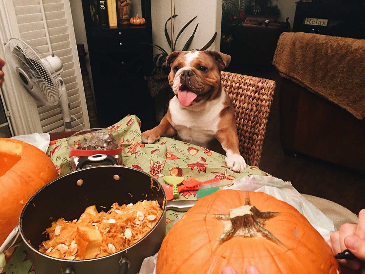 he sat here the whole time we carved pumpkins
