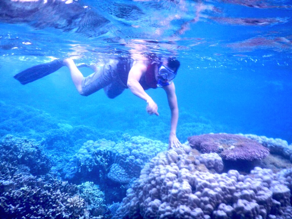 Indahnya terumbu karang di Pulau Gili Bawean <a href="/KabGresik/">Gresik</a> ."Pak Qosim"