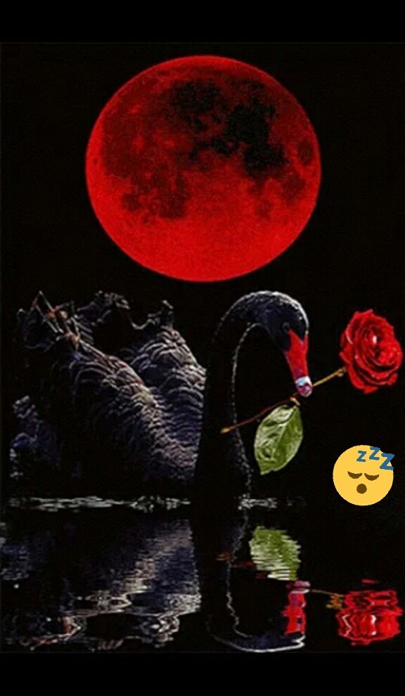 <a href="/weber_frank/">FRANK WEBER🌴 #MeetingPlaceWorld 🌴 🌴🌴    #會場世界</a> <a href="/SharisLind2/">Sharis #TSha</a> <a href="/mihanenws/">未羽</a> @william_1713 <a href="/GFBS17/">👦#Gust `s TFBS</a> <a href="/Mercedes_TLF/">merce sanchez</a> <a href="/greisy_santos/">Greisy Santos</a> <a href="/ferm_16/">F♡e♡r♡n♡a♡n♡d♡a #MGWV</a> ☘🌺#TSha🌺#gsmm 
🌜🌝🌛
☘<a href="/SharisLind2/">Sharis #TSha</a>
🌺<a href="/mihanenws/">未羽</a>
☘@william_1713
🌺<a href="/GFBS17/">👦#Gust `s TFBS</a>
☘<a href="/Mercedes_TLF/">merce sanchez</a>
🌺<a href="/greisy_santos/">Greisy Santos</a>
☘<a href="/weber_frank/">FRANK WEBER🌴 #MeetingPlaceWorld 🌴 🌴🌴    #會場世界</a> 
🌺<a href="/ferm_16/">F♡e♡r♡n♡a♡n♡d♡a #MGWV</a>
☘<a href="/weber_frank/">FRANK WEBER🌴 #MeetingPlaceWorld 🌴 🌴🌴    #會場世界</a>