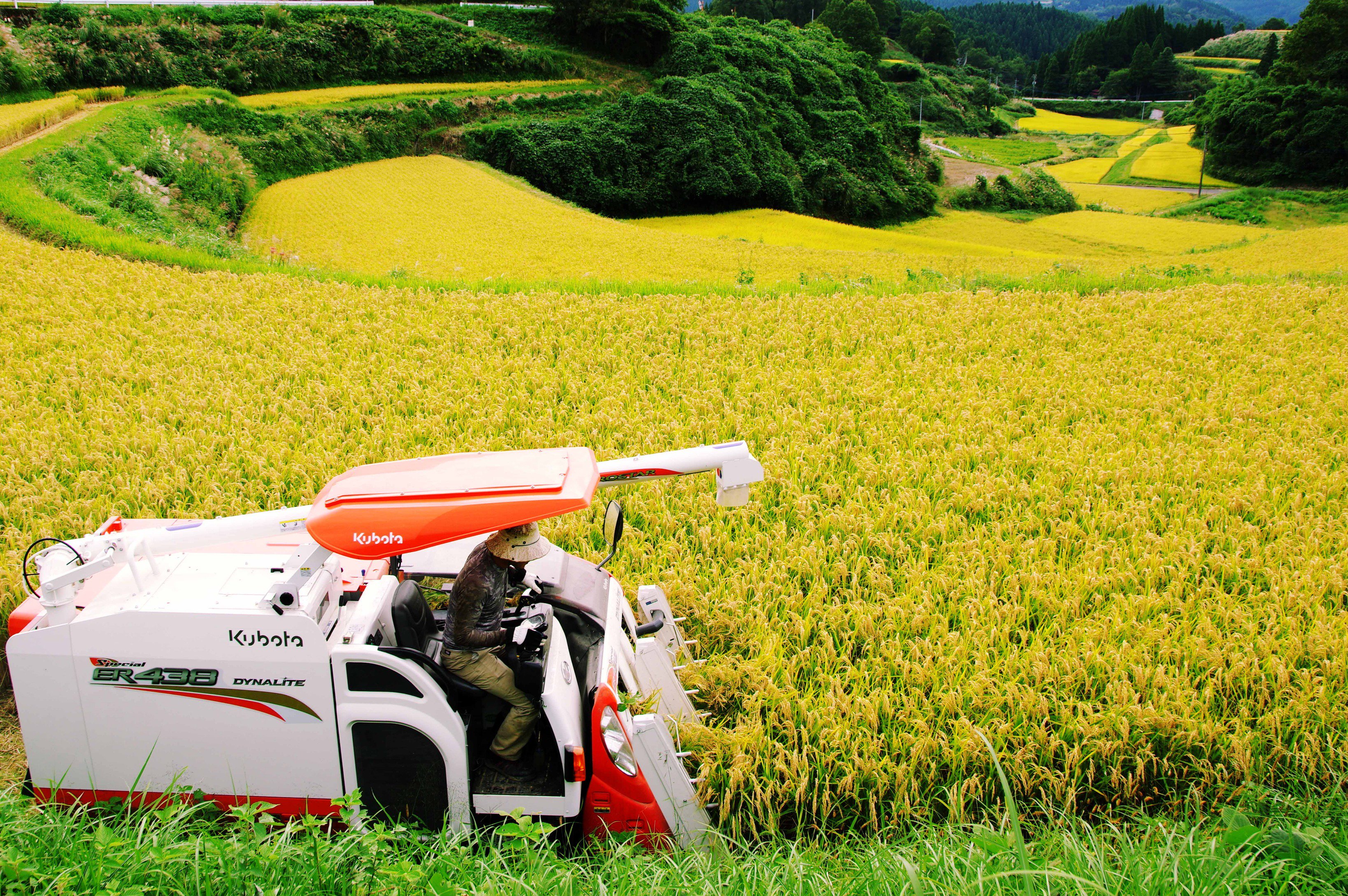 通潤酒造 公式 田舎という言葉を使わないで田舎を表現 はいどうぞ つ 写真 T Co S0ik6jescl Twitter