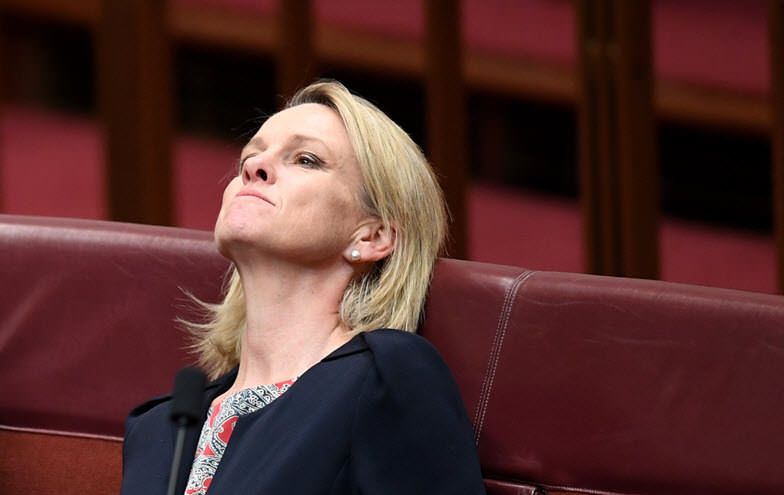 crikey_news's tweet photo. Some good news in citizenship blow for the Liberals: https://t.co/ebUYbxZC53 https://t.co/082vGUv1uW