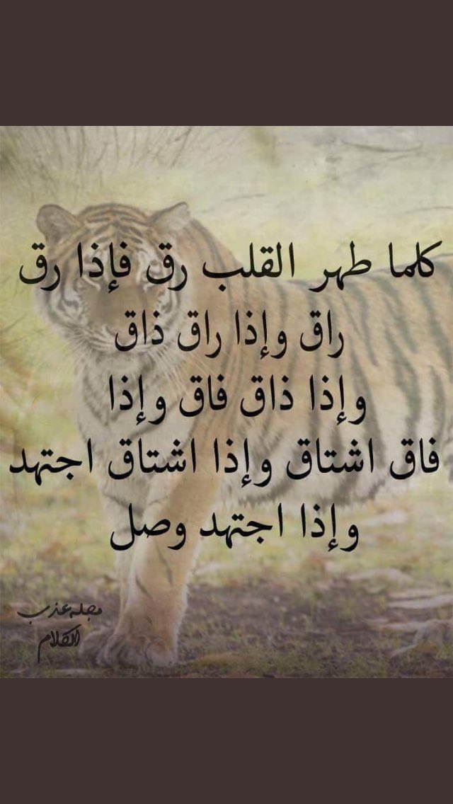alnogthaa (@al3graeb) on Twitter photo 