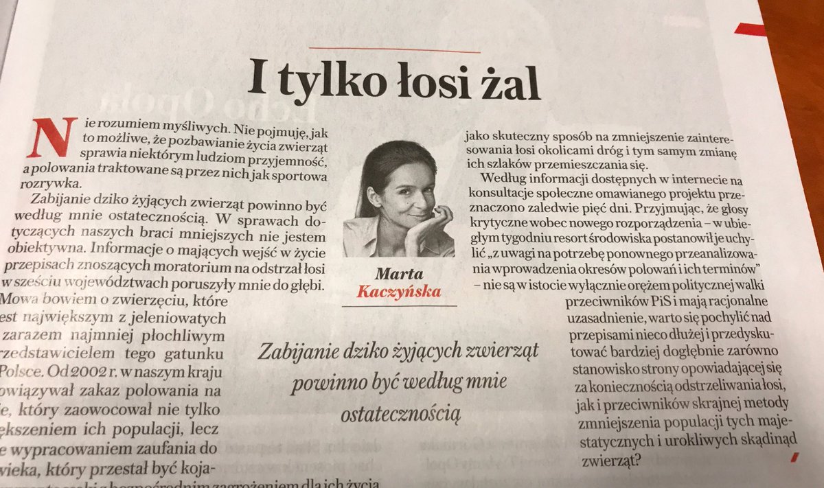 Zobacz obraz na Twitterze Zobacz obraz na Twitterze