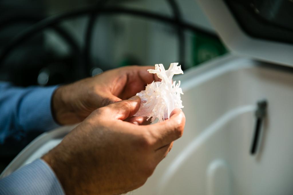 Stratasys's tweet image. #3Dprinted anatomical models create a new level of #medical training of tomorrow’s doctors and surgeons #COMPAMED2017, November 13th -16th