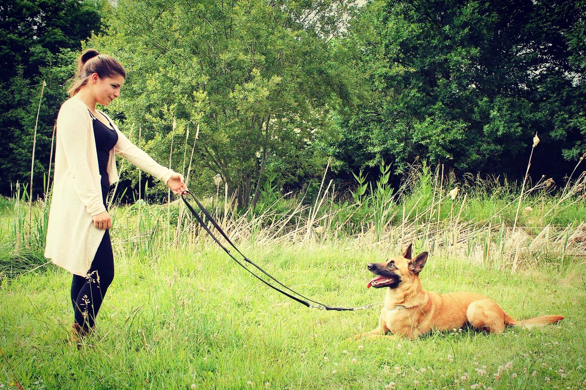 Yse_EducCanin's tweet photo. Personalized obedience ? Call us
#dog #dogs #happydogs #doglove #dogtraining #educationcanine #dog #obedience #ilovemydog #doglife https://t.co/amwXaKTALQ