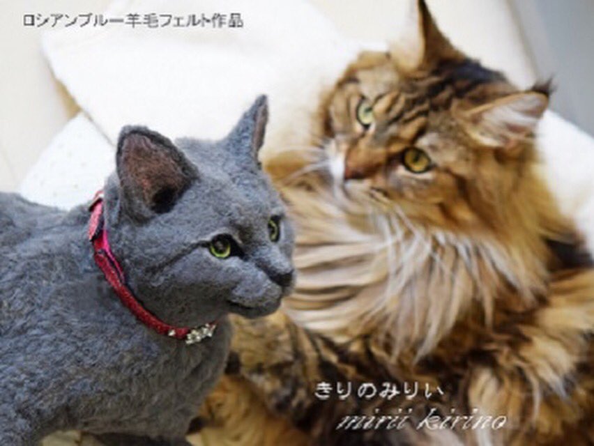 miriis_japan's tweet photo. ロシアンブルーの作品が完成しました
尻尾を入れると50cm以上の実物大のサイズです。
制作期間3ヶ月
😺#ロシアンブルー #きりのみりい #羊毛フェルト #猫 #cat #russian_blue #羊毛フェルト作品 #needle_felt
#ねこ部 #子猫 #グレー猫 https://t.co/pKbFYn1qgM
