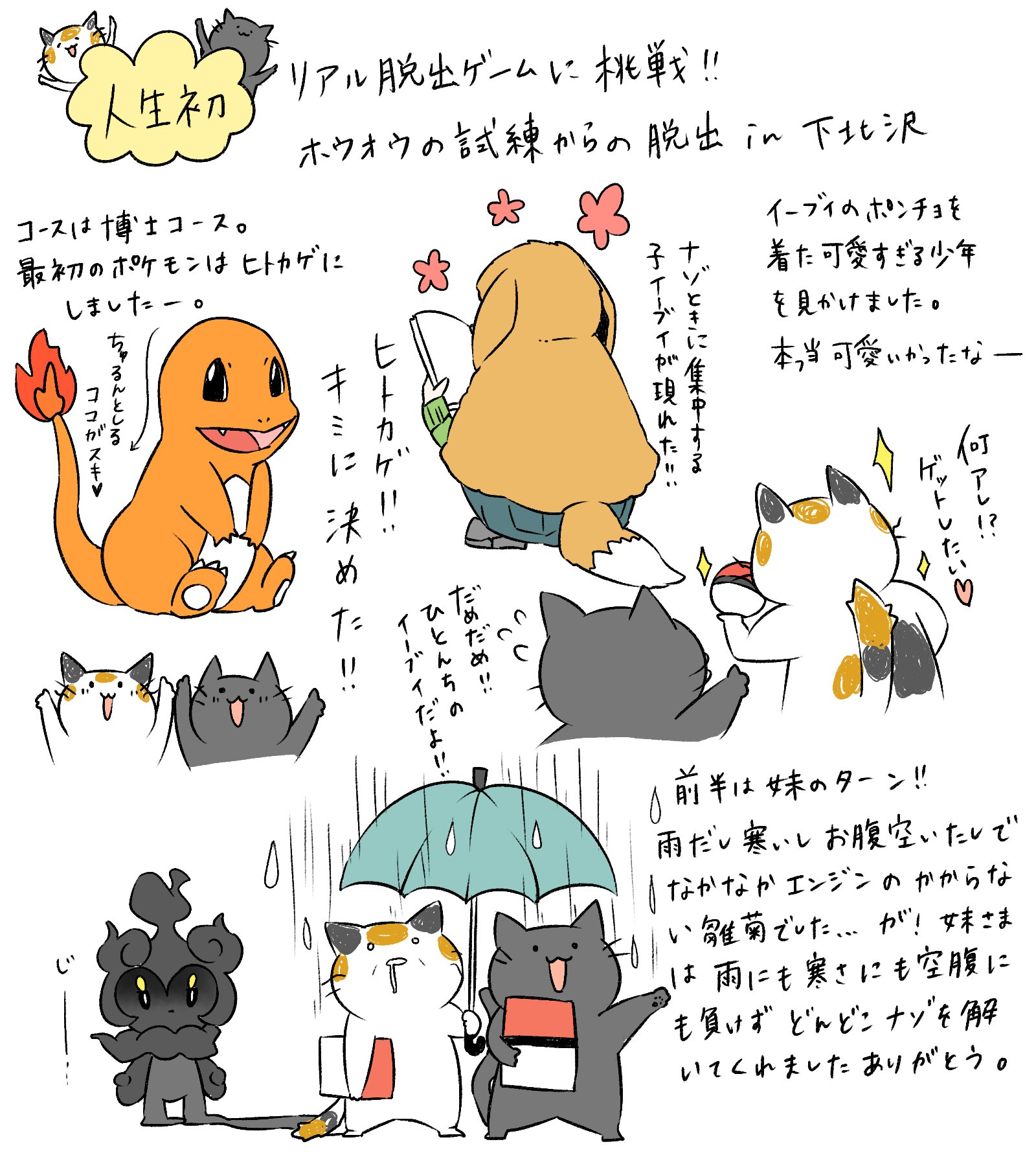 雛菊 リアル脱出ゲームホウオウの試練からの脱出に挑戦してきた時の感想です T Co I7cjvb3fsd Twitter