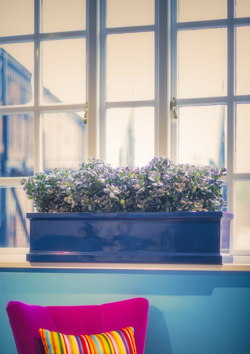 Europlanters's tweet photo. The #traditional #style #Berkeley #windowbox #trough with a #modern twist. #Beboldwithcolour #funphotoshoot #Manchester https://t.co/pHg5hGc40k