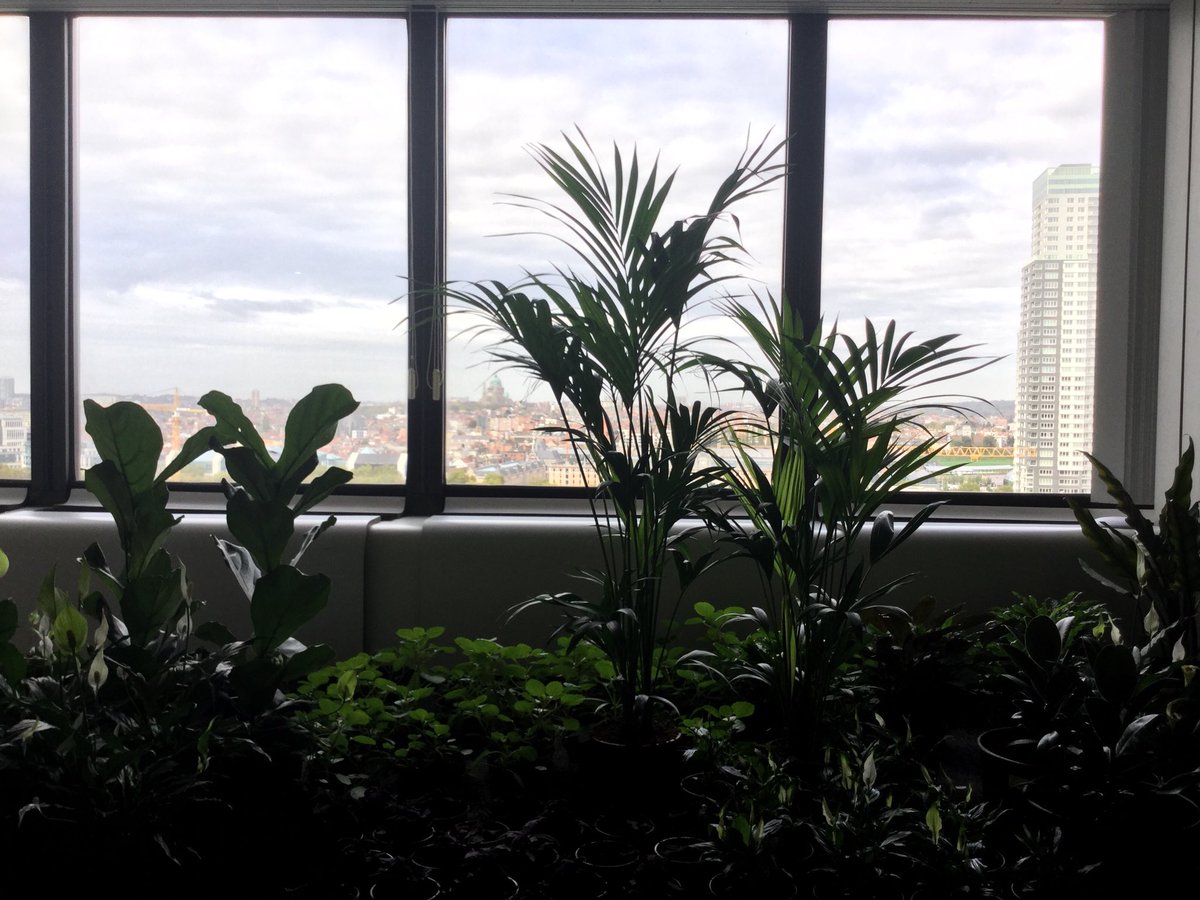 lab_north's tweet photo. Looking for #inspiration to start the week ? Be #creative and #innovative with a view! Join us on the #platformnorth project in #brussels! https://t.co/K1Jhh5oGdd