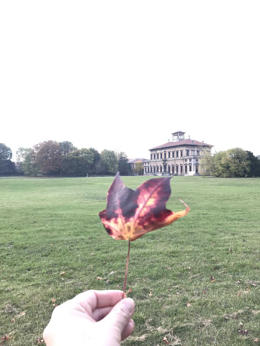 IgersMonza's tweet photo. Ieri #InstameetBrianza8 alla Villa Bagatti Valsecchi di Varedo. Tutti molto contenti, villa molto bella!! Grazie alle guide davvero brave. https://t.co/5pOAtwCgPg
