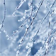 brightnetworkuk's tweet image. First (light) frost of the year – feels like winter is on the way. Have a great day/week everyone.