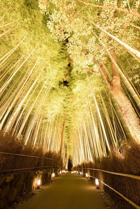 嵐山花灯路19の混雑状況インスタ映するデートコースや期間と時間を紹介 Future And Past 未来と過去と