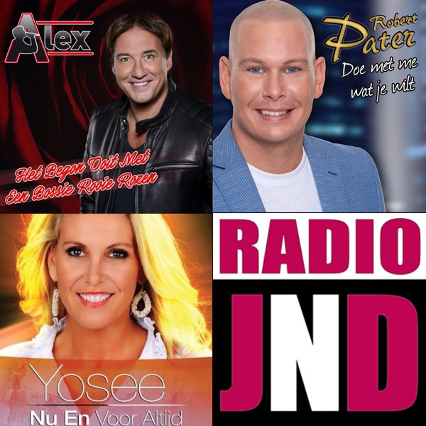 Er kan weer gestemd worden op de nieuwe Successchijf!
Geef jouw stem op: radiojnd.nl/successchijf