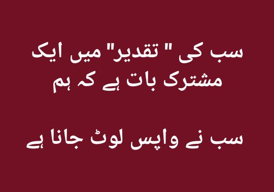iDrShoaibMirza's tweet photo. #Luck #Destiny #ShoaibMirza #UrduTweet https://t.co/RqFVwK74l2