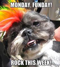 Rock this week 🤘🏻

#marvelousmonday #mondayfunday #mondays #freshstart #bc3brockway #startingtheweekwell #mondayvibes #nomondayblues
